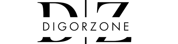DigorZone: Creating Value with Technology